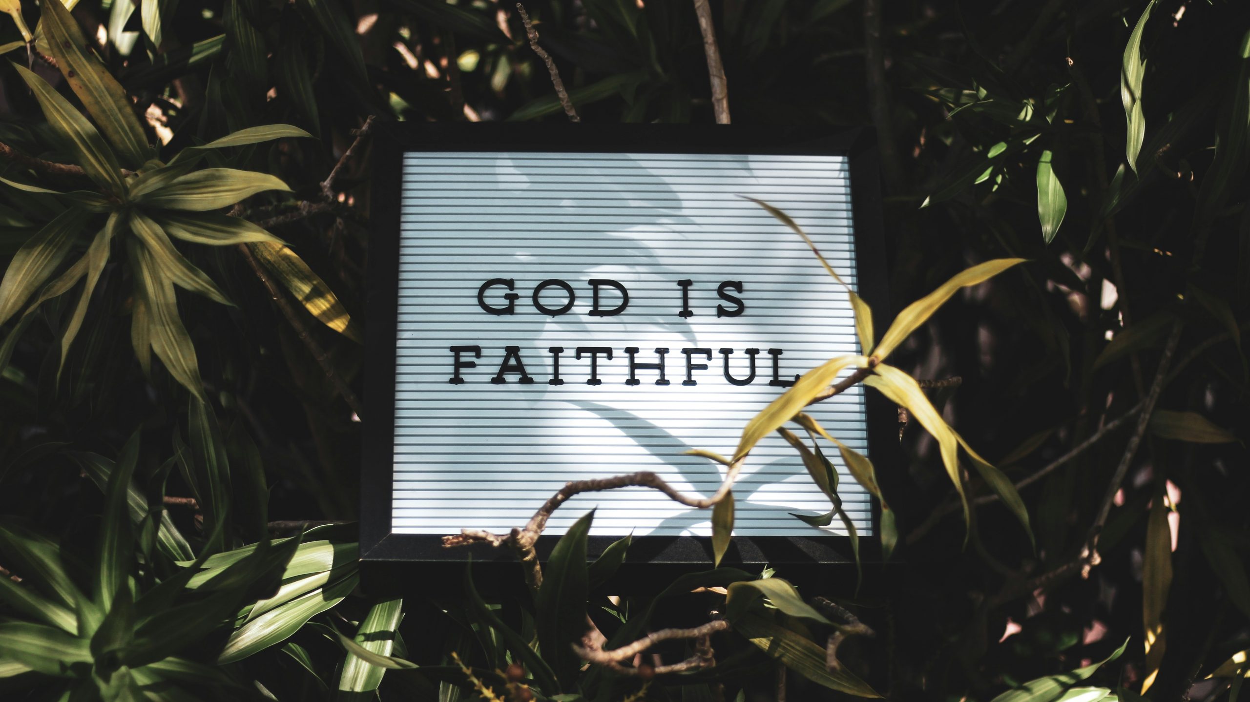 sign that says 'God is Faithful' with plants under it.