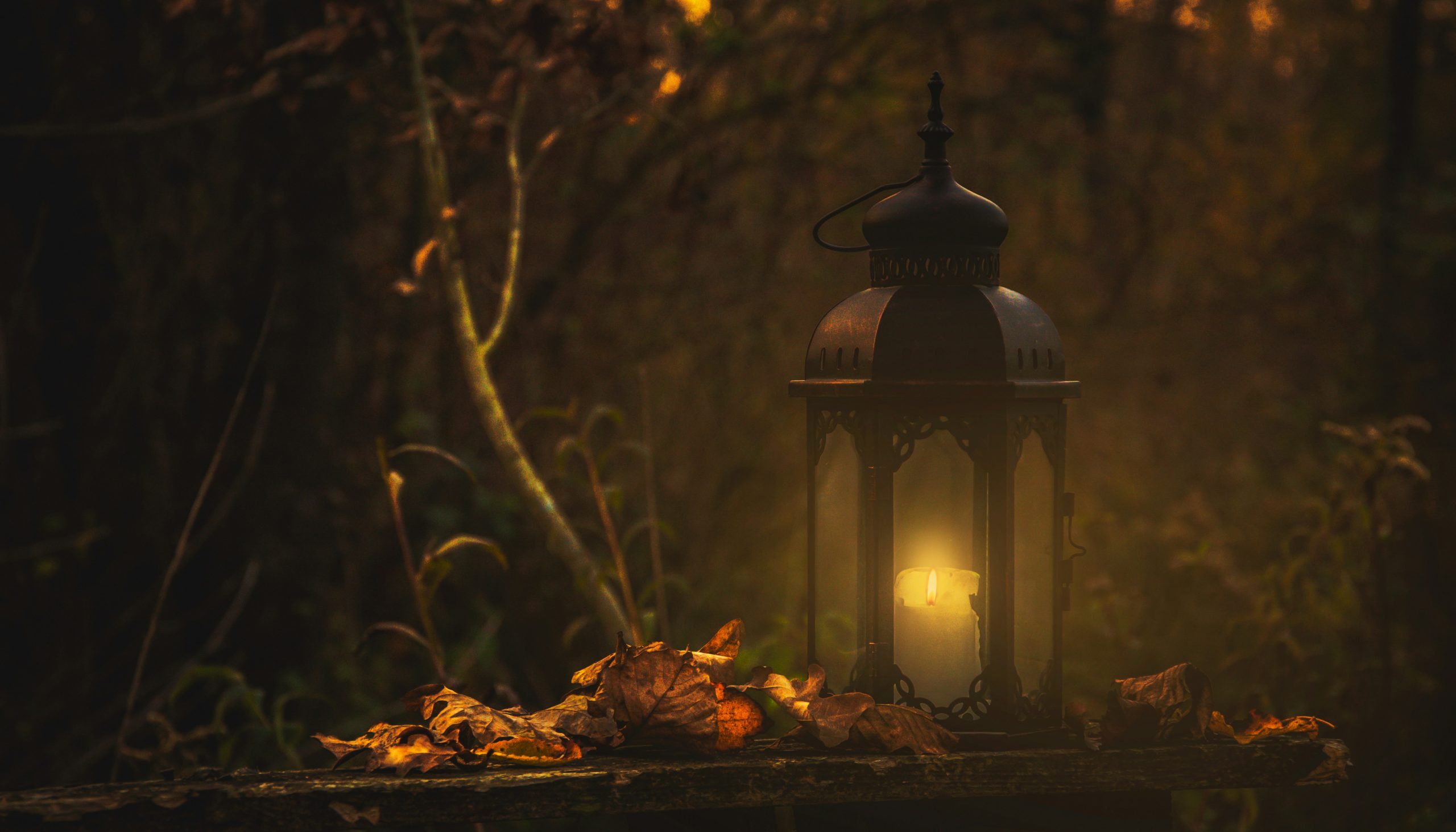 picture of autumn leaves on table with small lamp lighting in dark area